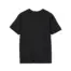 Noah Kahan Forest Unisex Softstyle T-Shirt